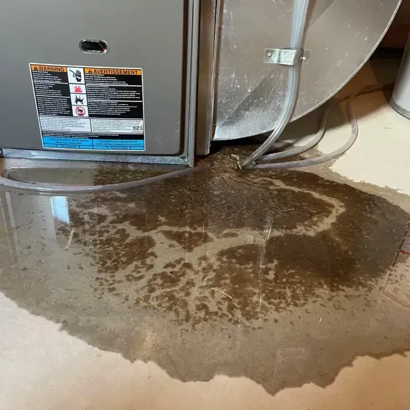 Appliance Leak Cleanup in Richmond, MA